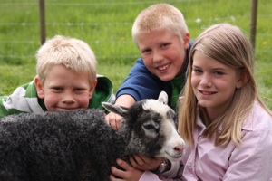 kos med lammene på Aarholt-tunet leirskole