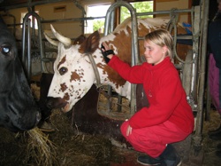 ku-børsting, Aarholt-tunet leirskole